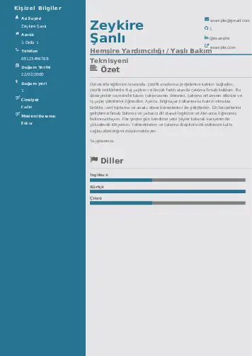 Hasta ve Yaşlı Bakım Elemanı Cv Örnekleri cv indir